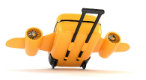 Plane luggage